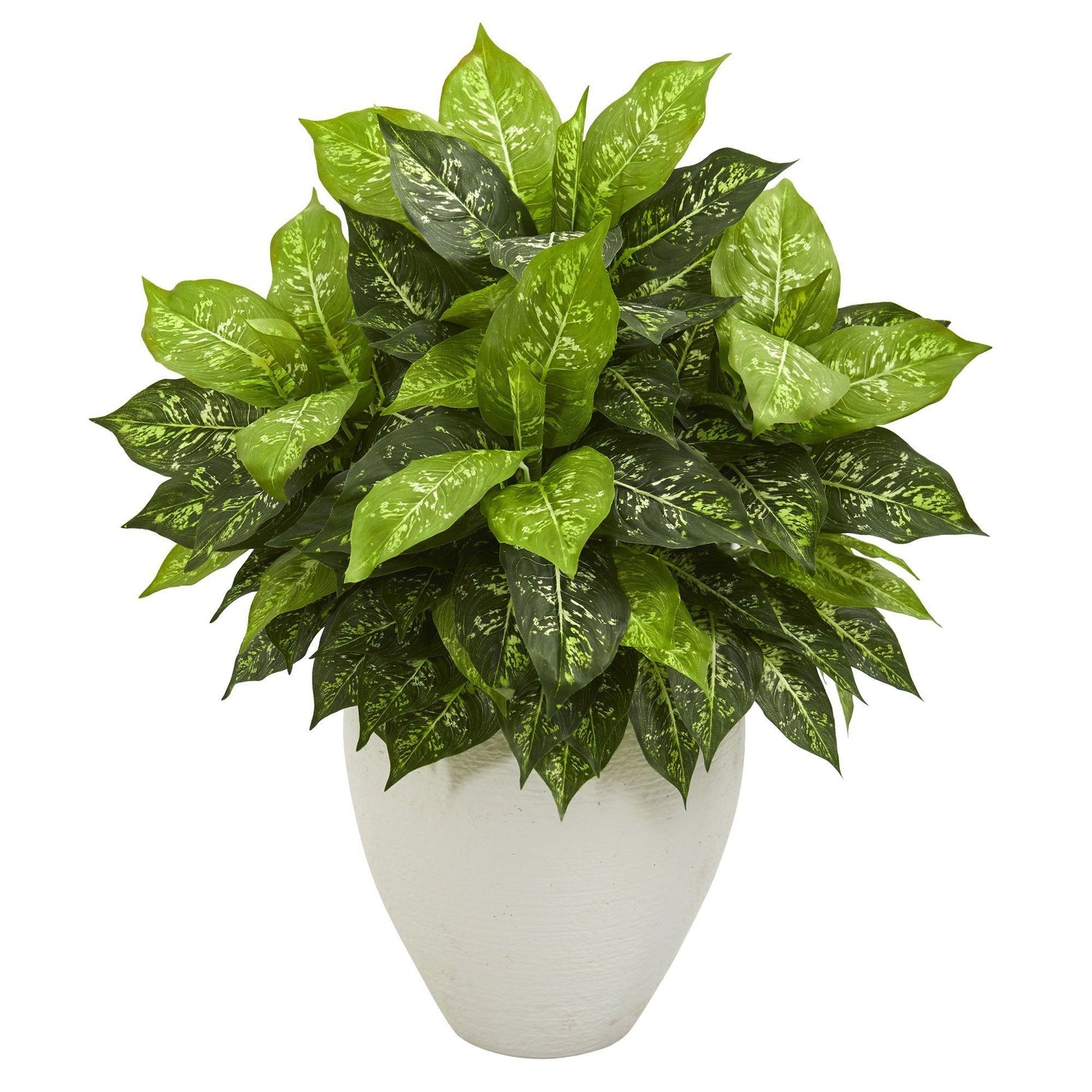 Dieffenbachia Artificial Plant in White Planter