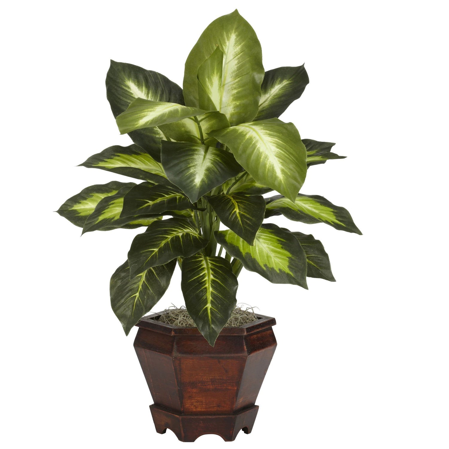 Dieffenbachia w/Wood Vase Silk Plant (Set of 2)