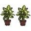 Dieffenbachia w/Wood Vase Silk Plant (Set of 2)