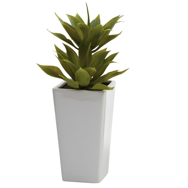 Double Mini Agave w/Planter (Set of 2)