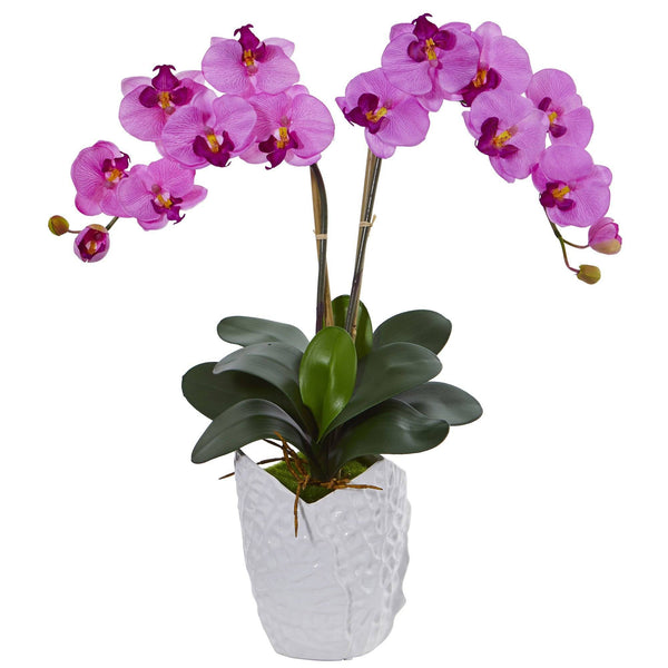 Double Phalaenopsis Orchid in White Vase