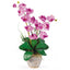 Double Stem Phalaenopsis Silk Orchid Arrangement