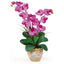 Double Stem Phalaenopsis Silk Orchid Arrangement