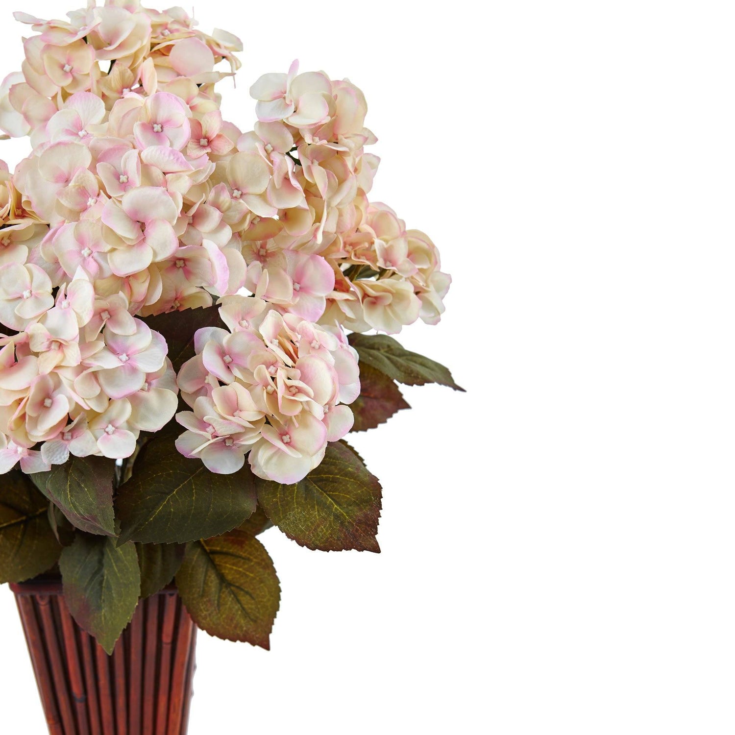 Hydrangea in Bamboo Planter