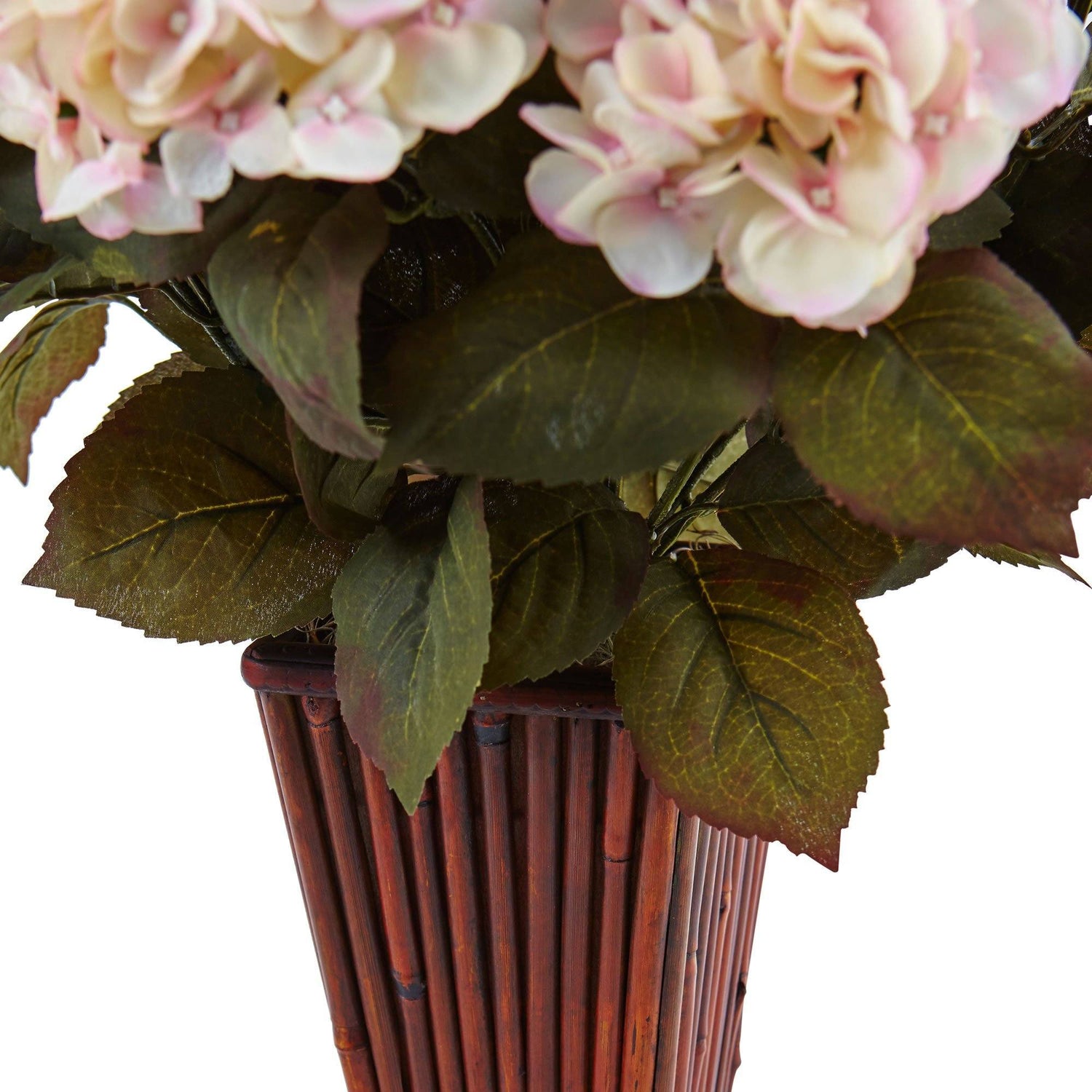 Hydrangea in Bamboo Planter