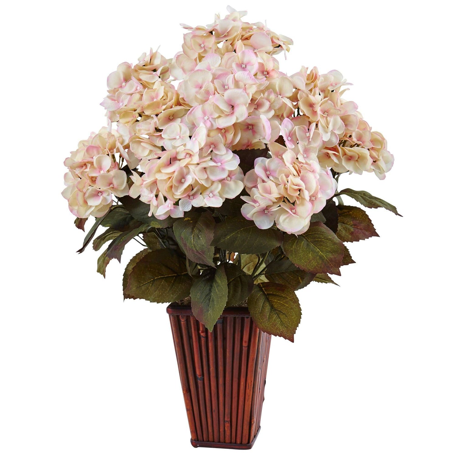 Hydrangea in Bamboo Planter