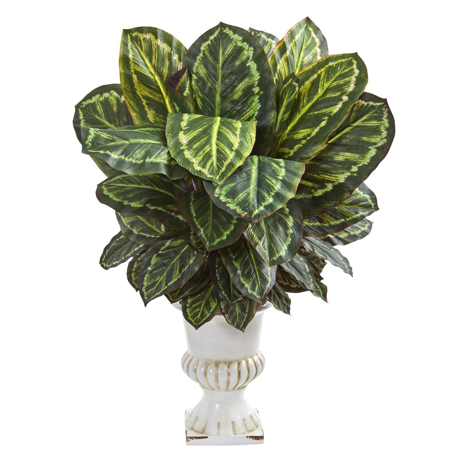 Maranta Artificial Plant in White Urn