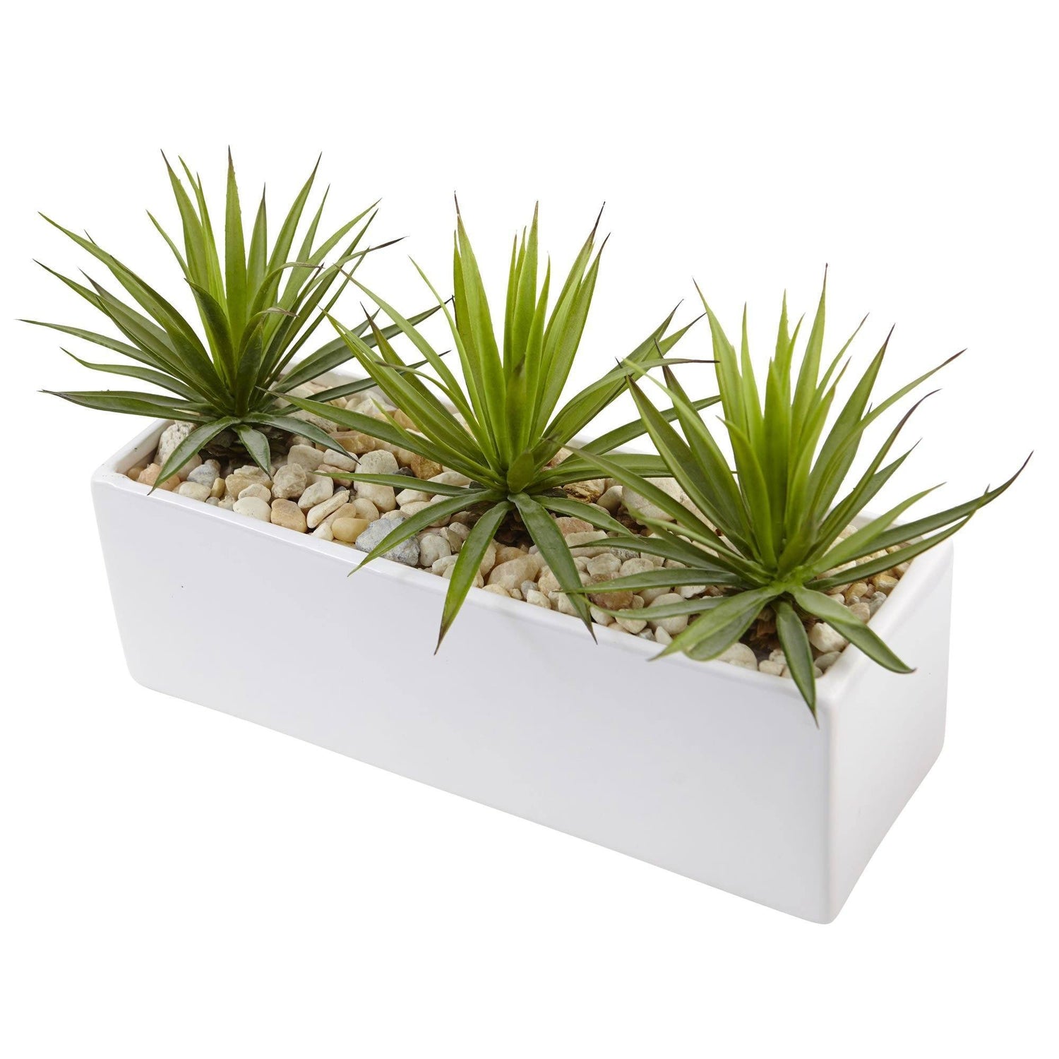 Mini Agave in Rectangular Ceramic