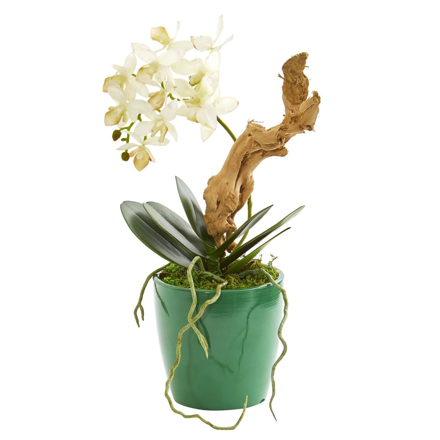 Mini Phalaenopsis Orchid Artificial Arrangement in Green Planter (Set of 2)