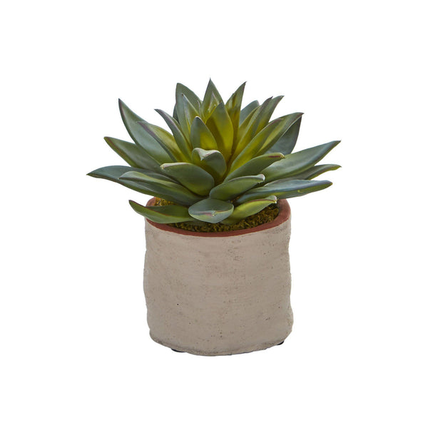 Mixed Succulent Artificial Plant (Set of 4)