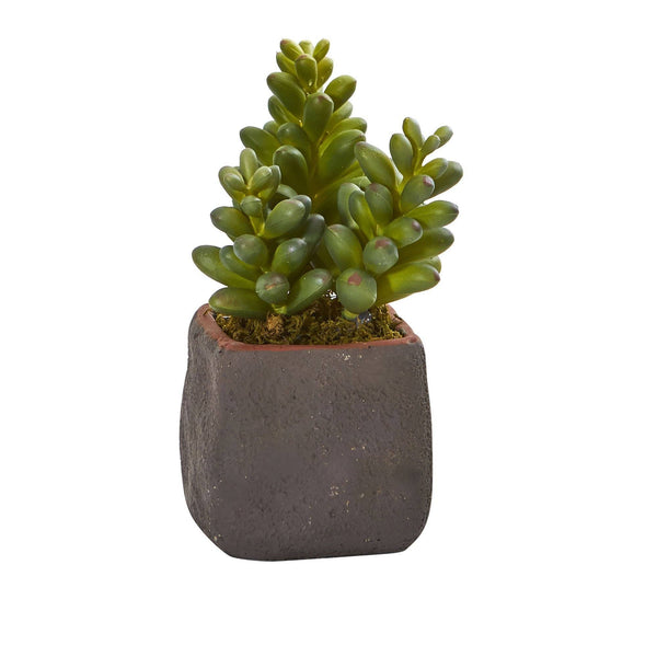 Mixed Succulent Trio Artificial Plant (Set of 3)