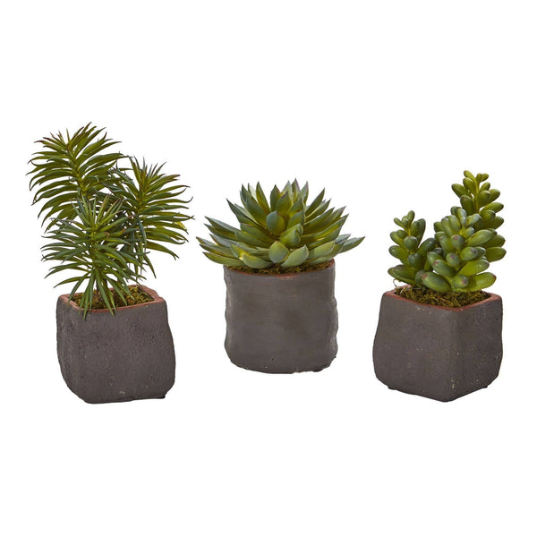 Mixed Succulent Trio Artificial Plant (Set of 3)