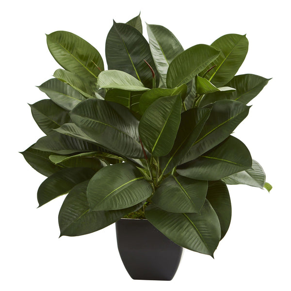 Oak Ficus Artificial Plant