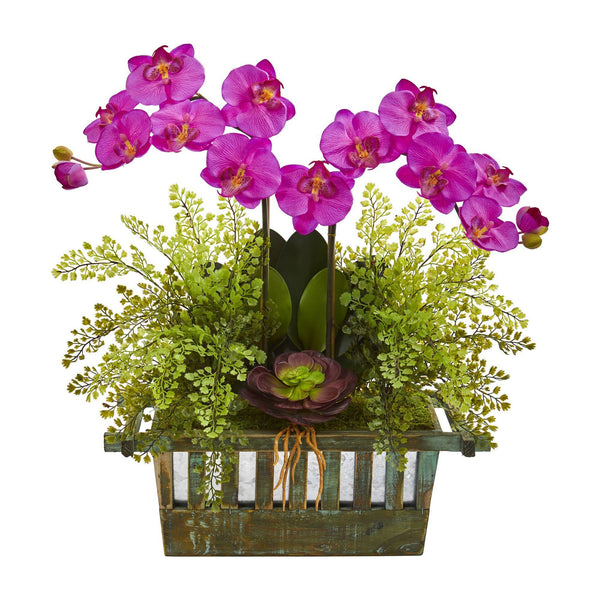 Orchid, Succulent and Maiden Hair Artificial Arrangement