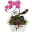 Orchid & Succulent Garden with White Wash Planter