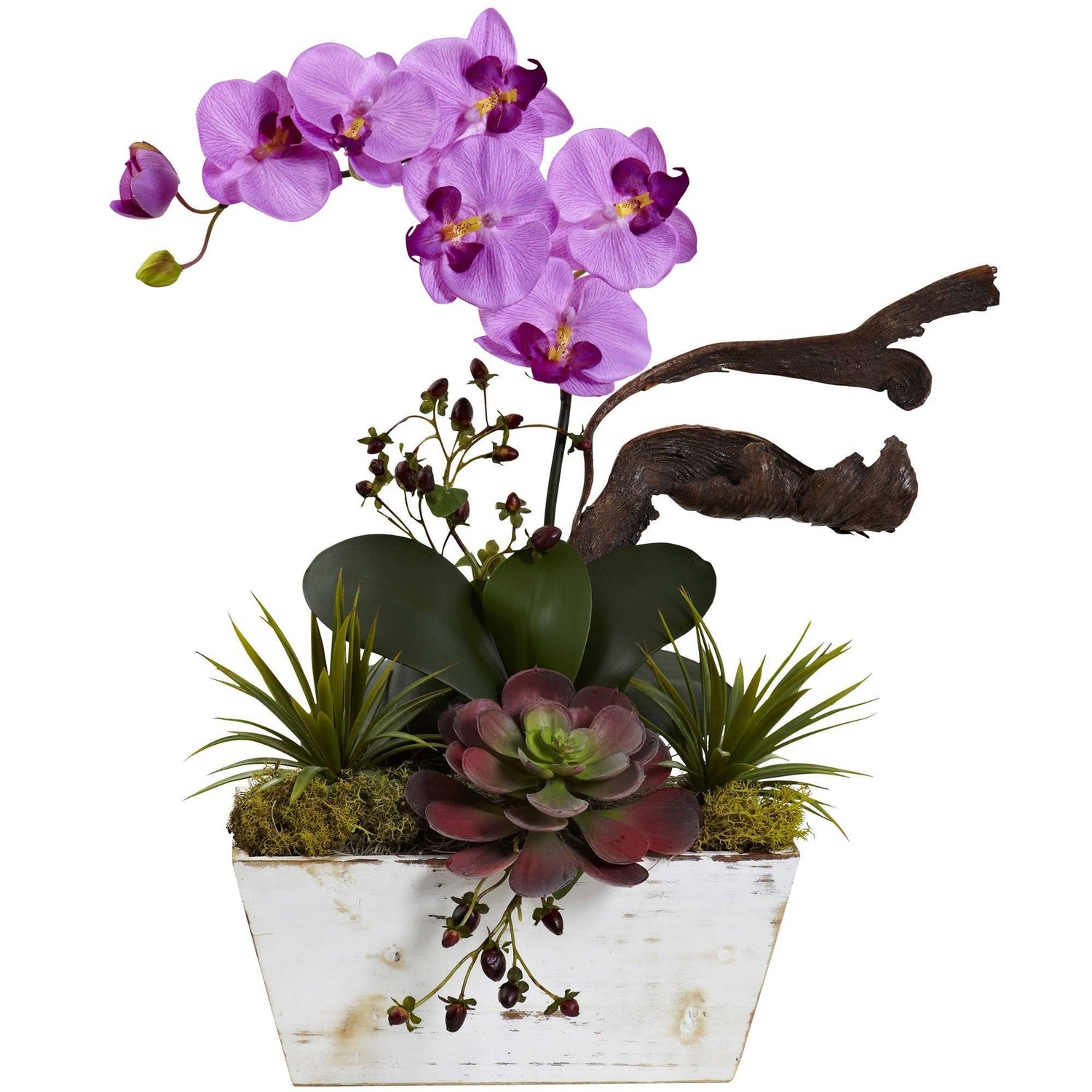 Orchid & Succulent Garden with White Wash Planter