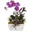 Orchid & Succulent Garden with White Wash Planter