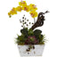 Orchid & Succulent Garden with White Wash Planter