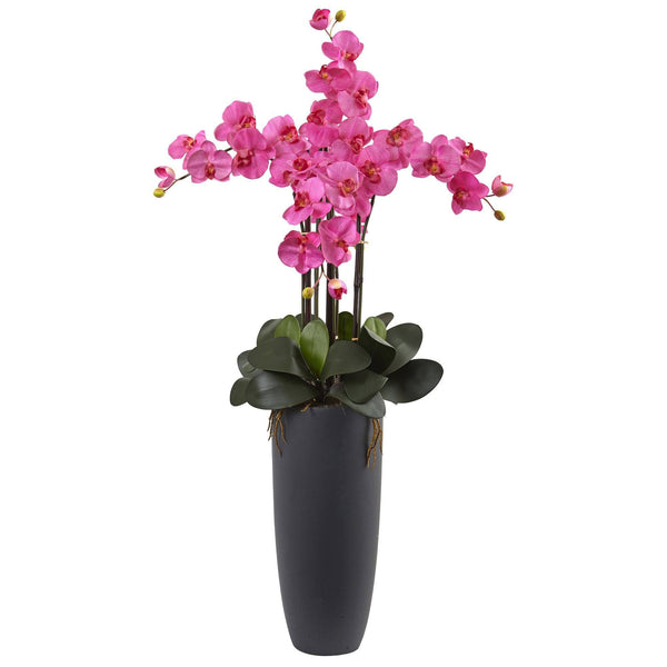 Phalaenopsis Orchid Arrangement with Bullet Planter