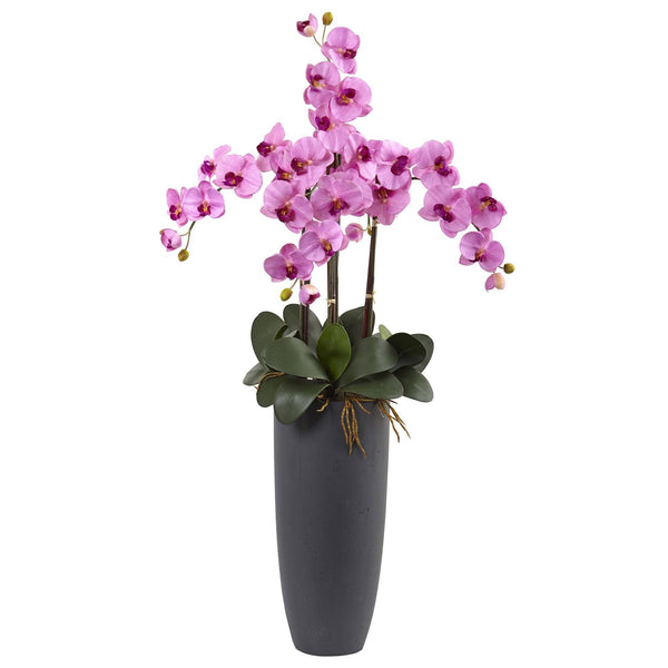 Phalaenopsis Orchid Arrangement with Bullet Planter