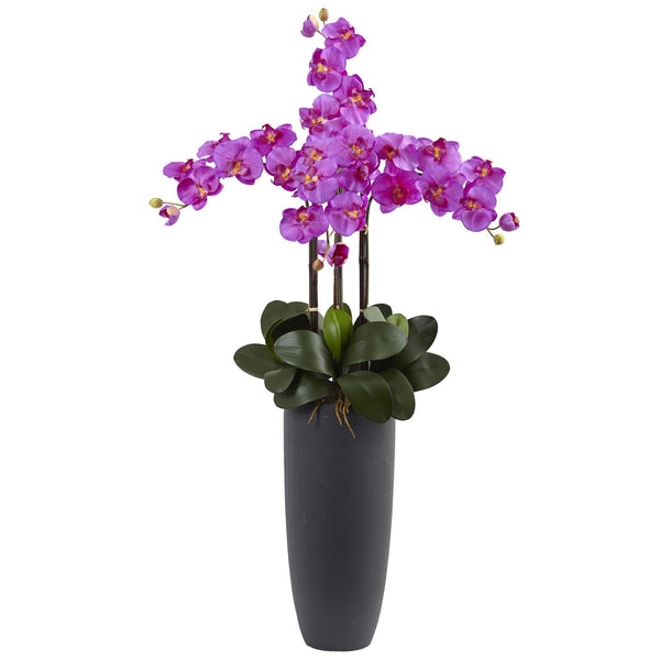 Phalaenopsis Orchid Arrangement with Bullet Planter