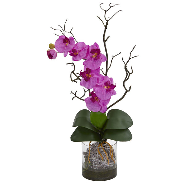 Phalaenopsis Orchid Artificial Arrangement in Vase