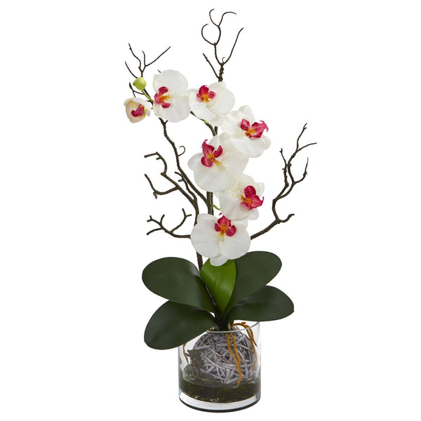 Phalaenopsis Orchid Artificial Arrangement in Vase