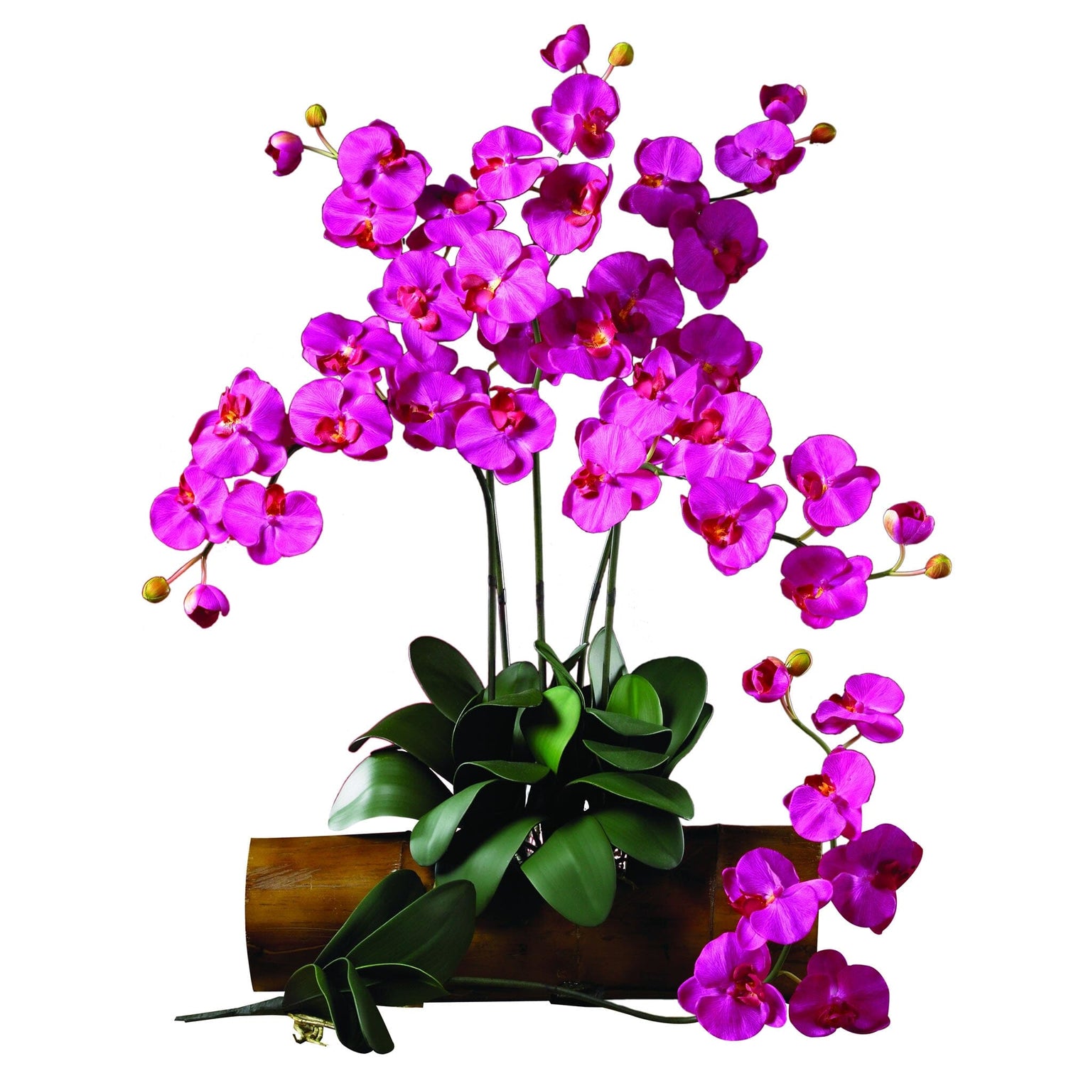 Phalaenopsis Silk Orchid Flower w/Leaves (6 Stems)