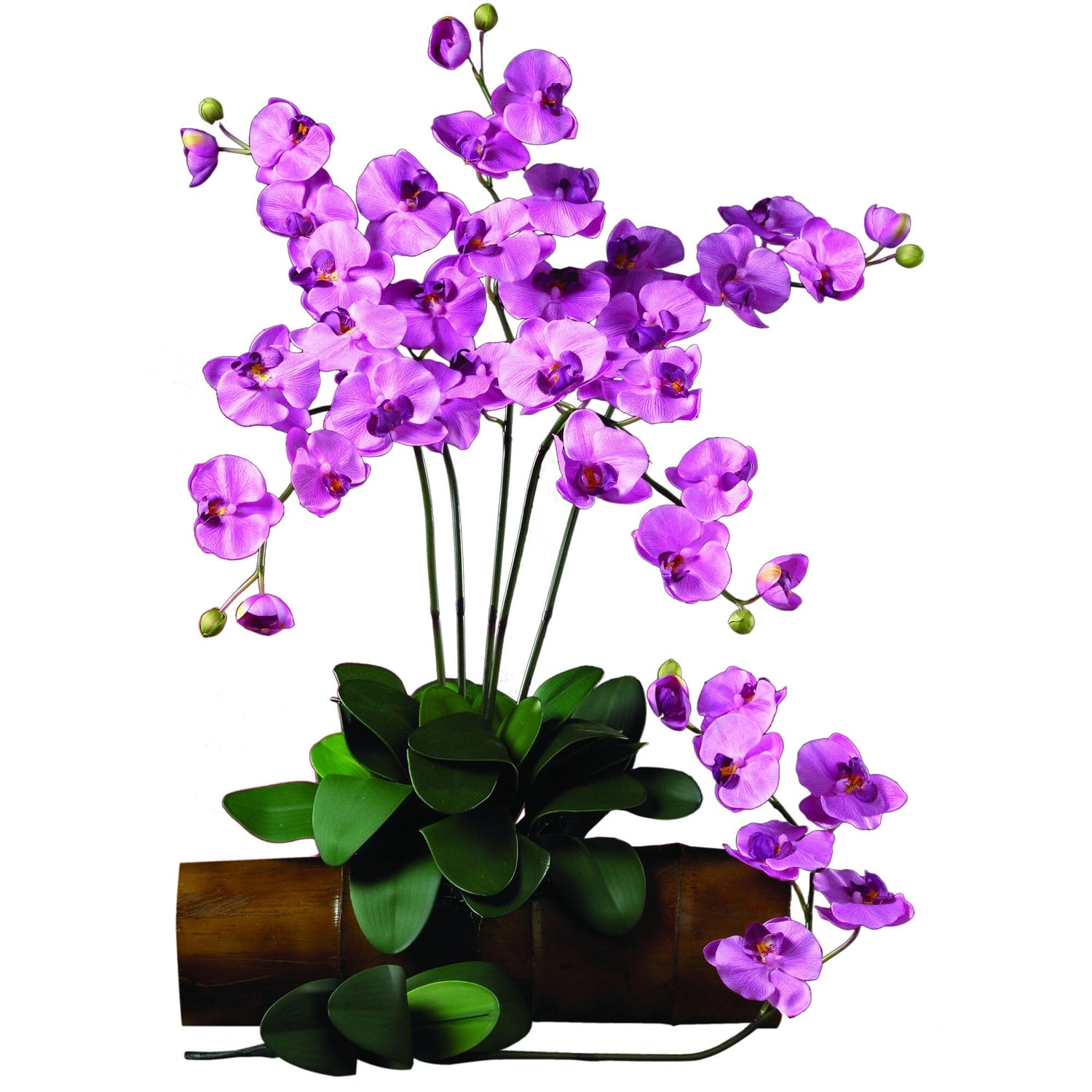 Phalaenopsis Silk Orchid Flower w/Leaves (6 Stems)