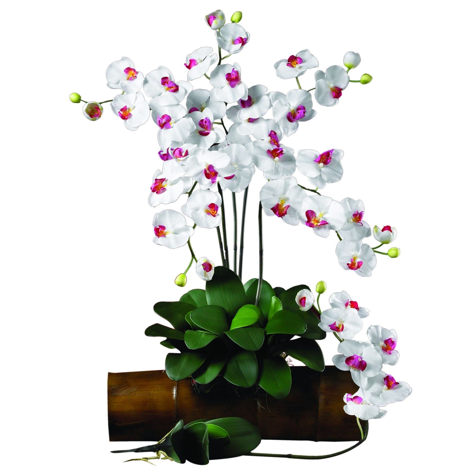 Phalaenopsis Silk Orchid Flower w/Leaves (6 Stems)