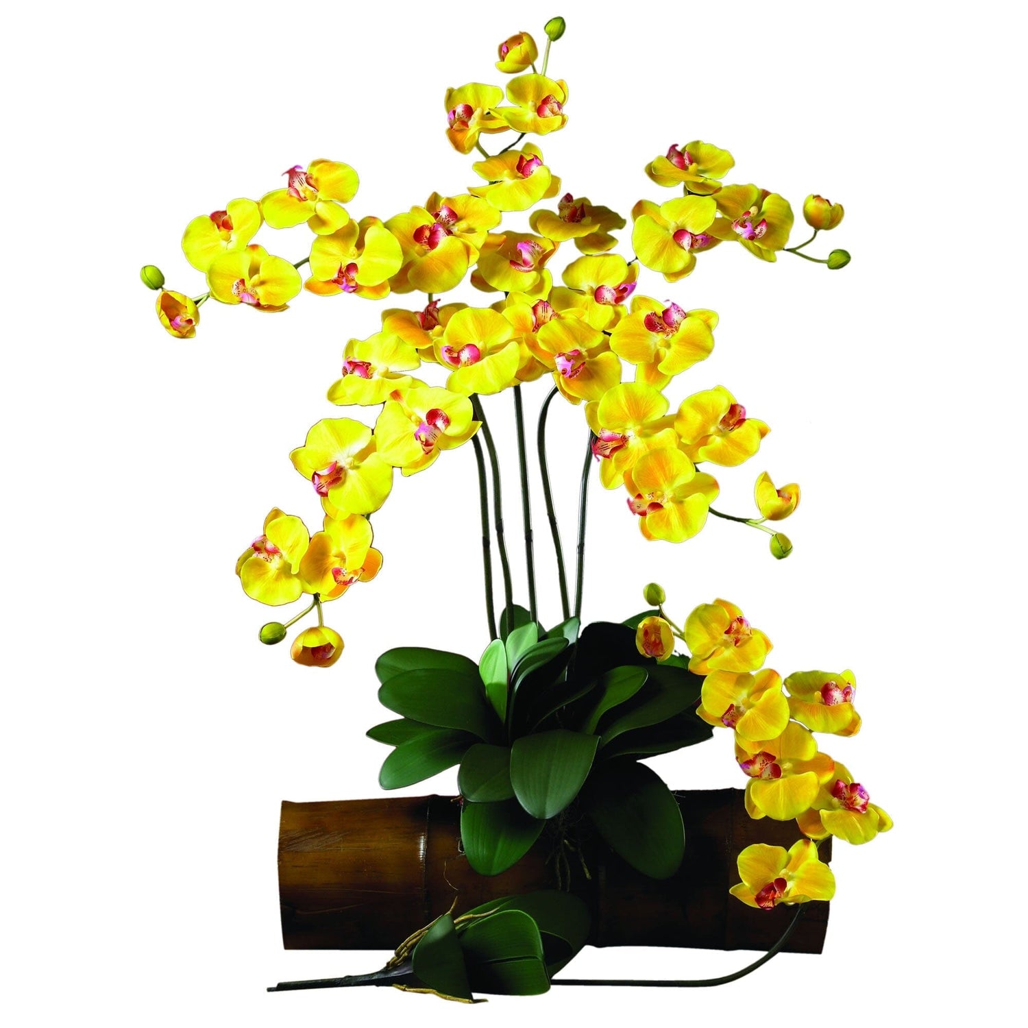 Phalaenopsis Silk Orchid Flower w/Leaves (6 Stems)