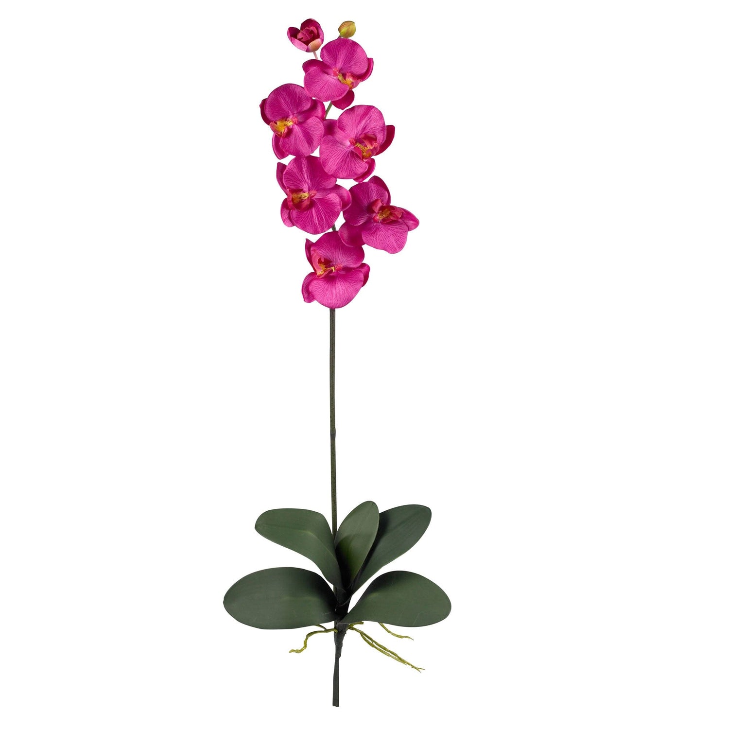 Phalaenopsis Silk Orchid Flower w/Leaves (6 Stems)