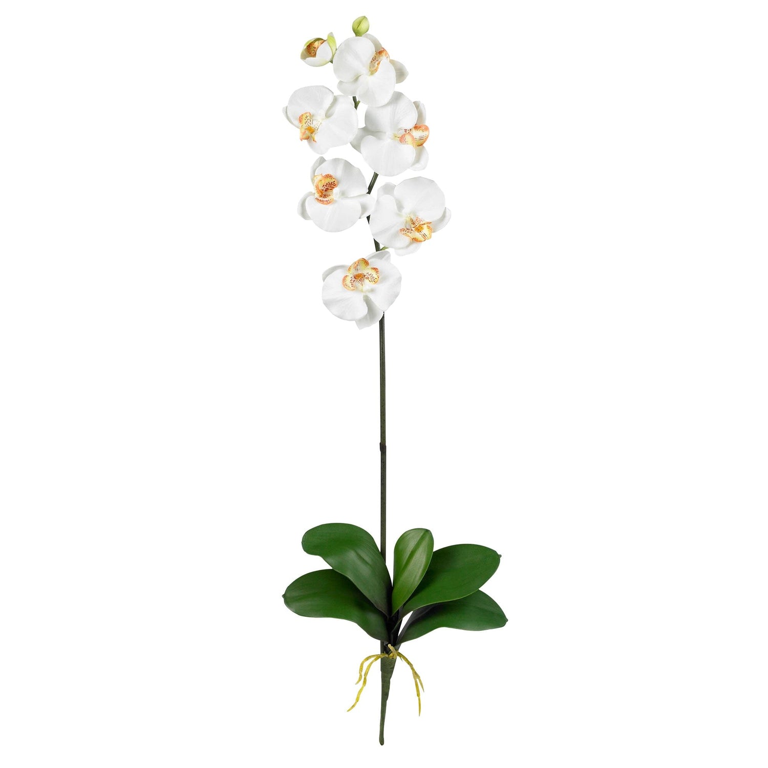 Phalaenopsis Silk Orchid Flower w/Leaves (6 Stems)