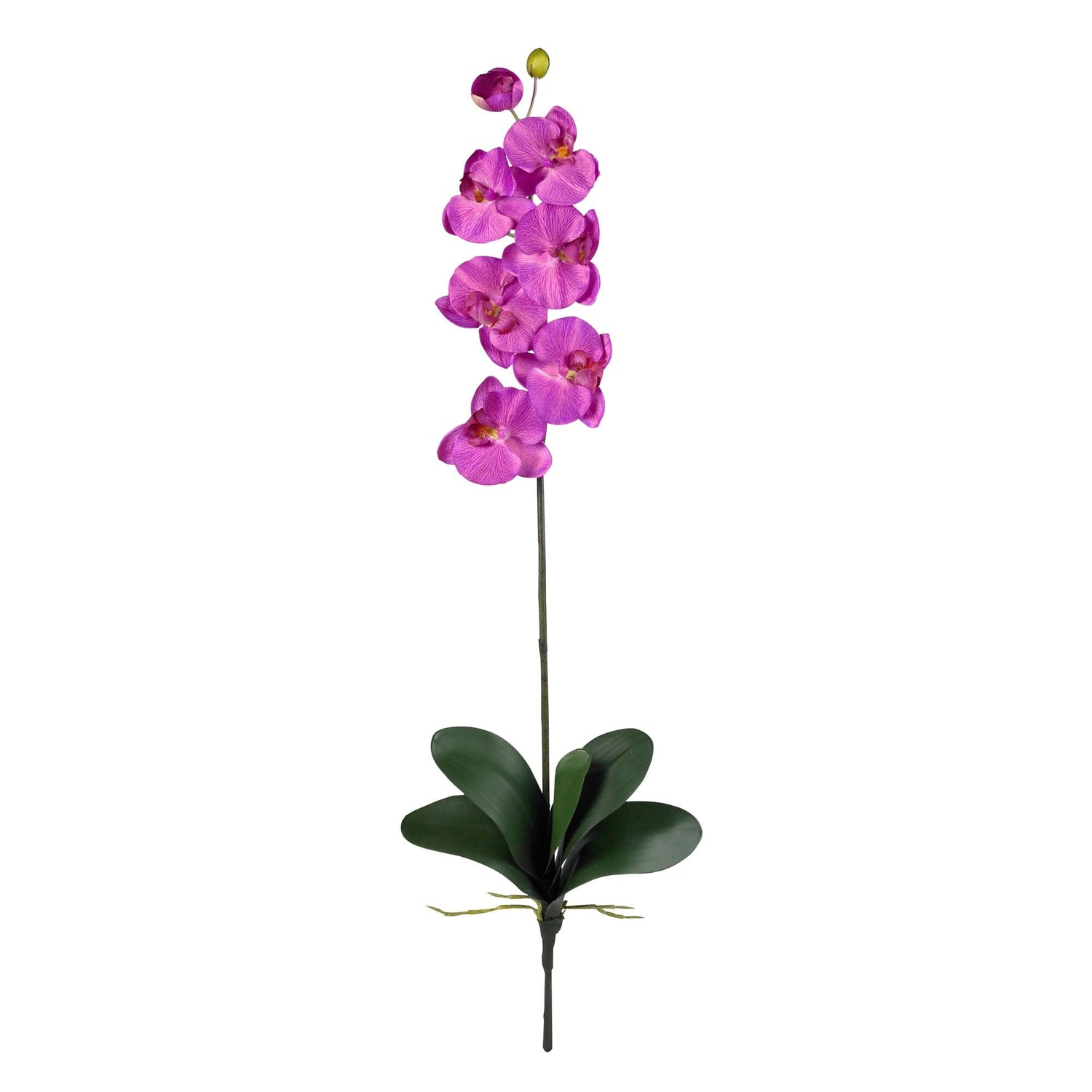 Phalaenopsis Silk Orchid Flower w/Leaves (6 Stems)