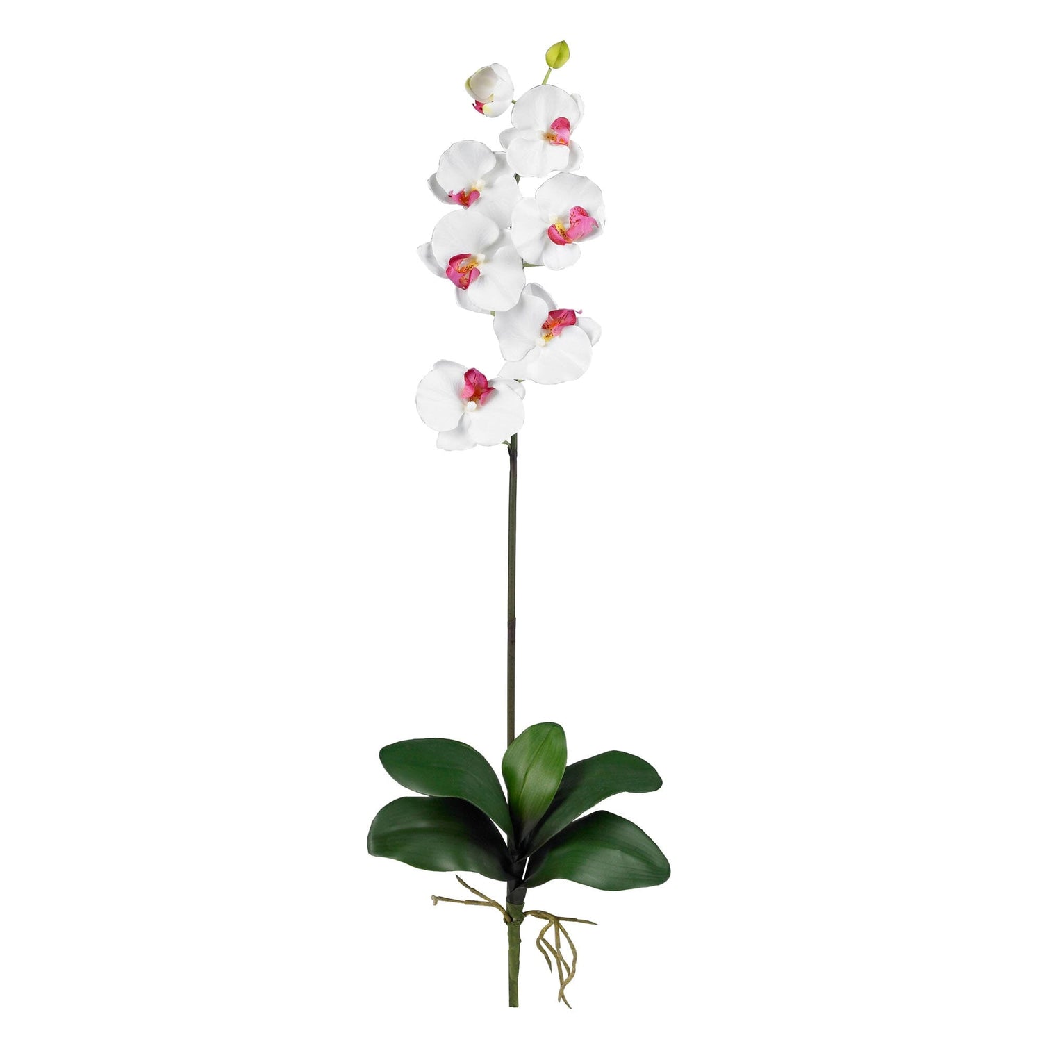 Phalaenopsis Silk Orchid Flower w/Leaves (6 Stems)