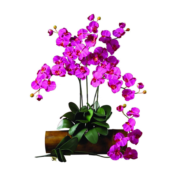 Phalaenopsis Stem (Set of 12)