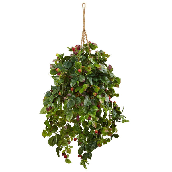 Raspberry Plant Hanging Basket