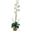 Single Phalaenopsis Liquid Illusion Silk Flower Arrangement