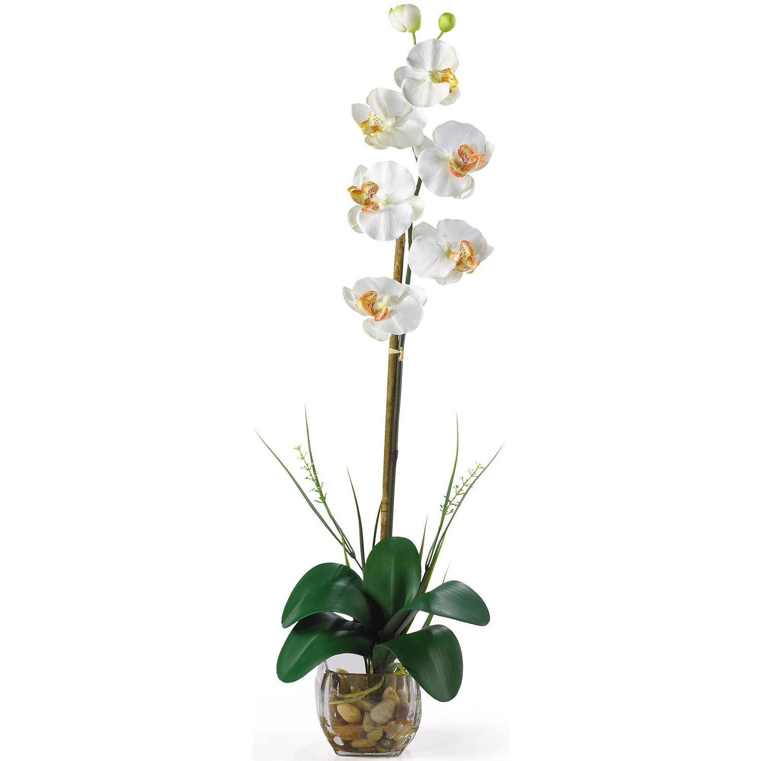 Single Phalaenopsis Liquid Illusion Silk Flower Arrangement