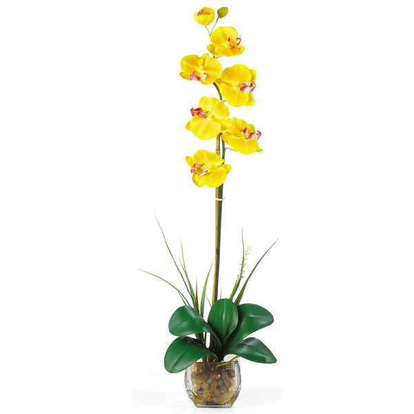 Single Phalaenopsis Liquid Illusion Silk Flower Arrangement