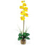 Single Phalaenopsis Liquid Illusion Silk Flower Arrangement