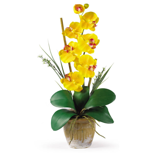 Single Stem Phalaenopsis Silk Orchid Arrangement