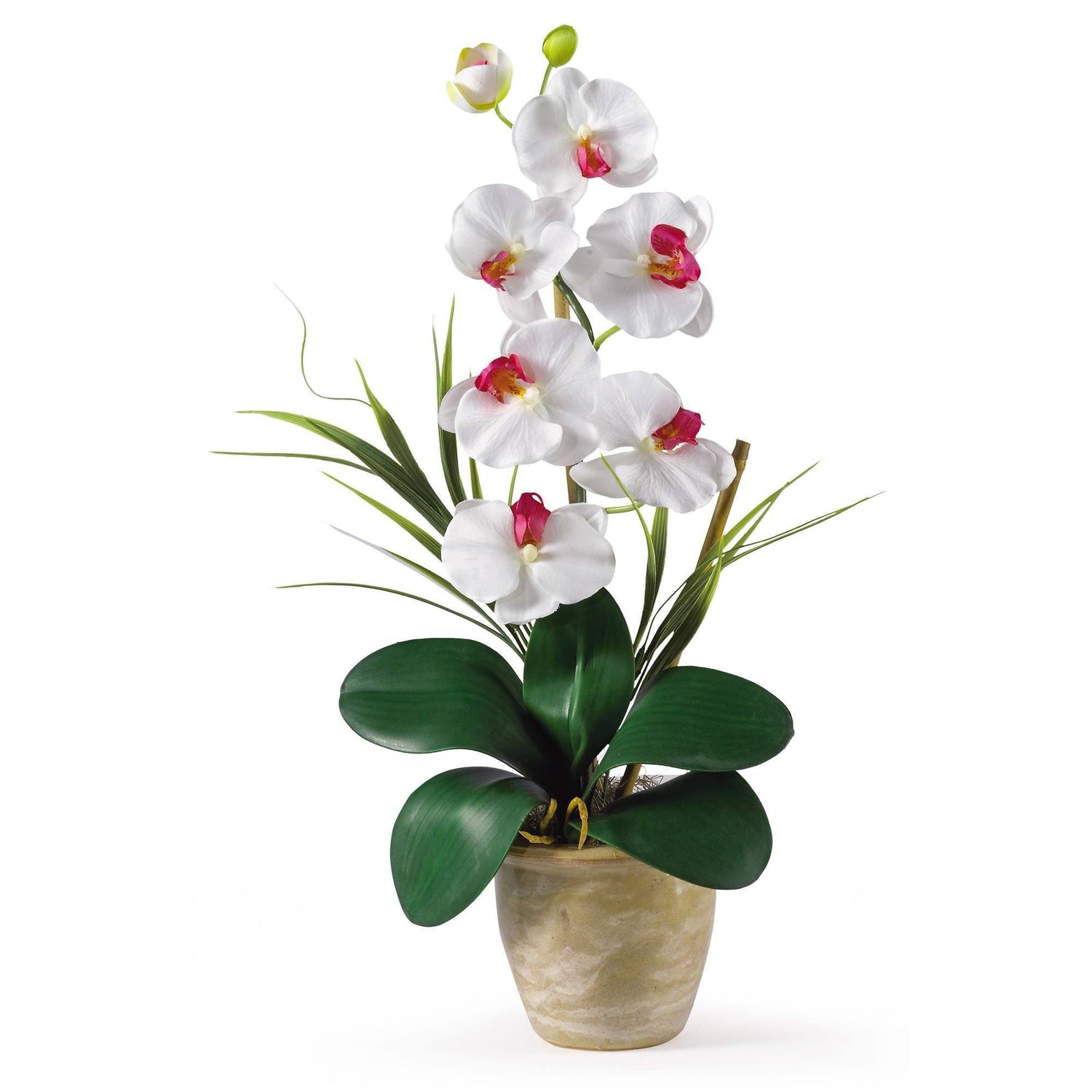 Single Stem Phalaenopsis Silk Orchid Arrangement