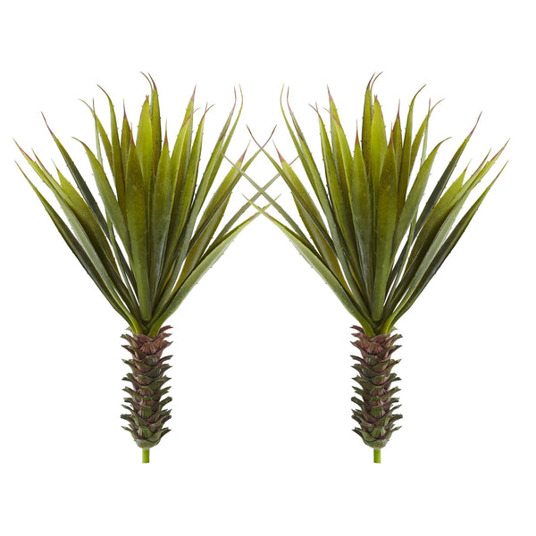 Spiky Agave Succulent Plant (Set of 2)