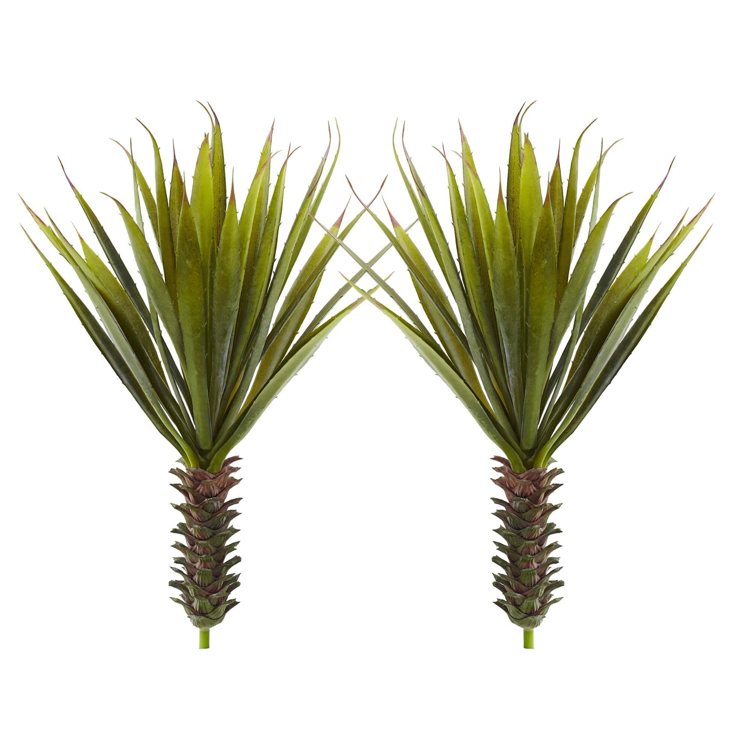 Spiky Agave Succulent Plant (Set of 2)