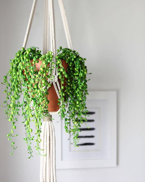 String of Pearl Artificial Plant Hanging Basket