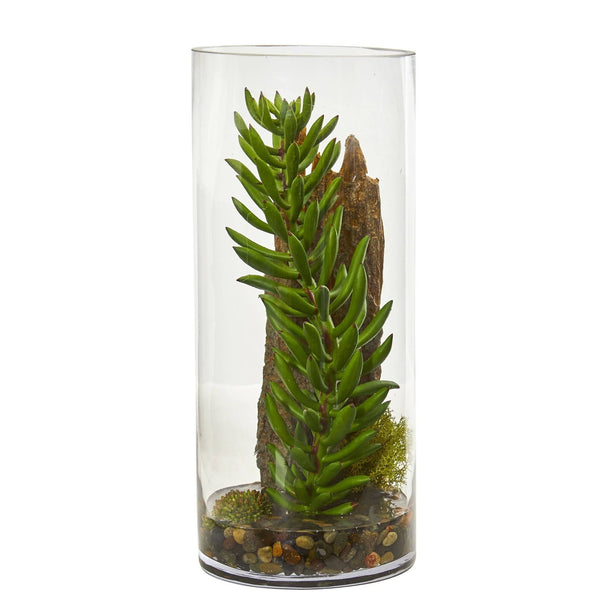 Succulent and Sedum Artificial Plant in Cylinder Vase