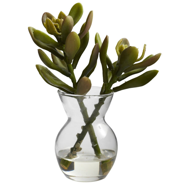 Succulent Arrangements (Set of 3)