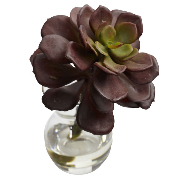 Succulent Arrangements (Set of 3)