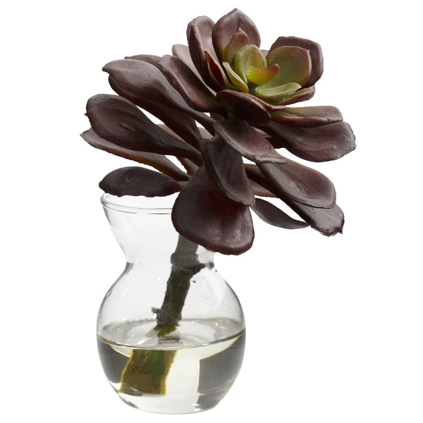 Succulent Arrangements (Set of 3)